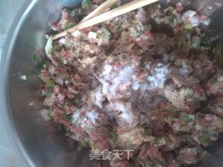猪肉茴香菜包子!~~~~~的做法步骤:7