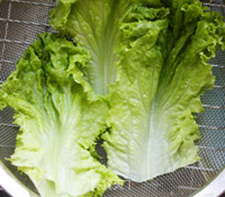 煎牛肉饼三明治的做法步骤:12