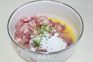 清纯鲜味肉丸子的做法步骤：1