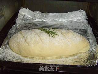 马铃薯迷迭香面包的做法步骤:12