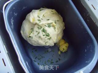 马铃薯迷迭香面包的做法步骤:3