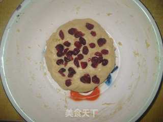 蔓越莓司康的做法步骤:7