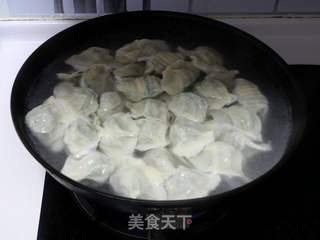 韭菜海米猪肉水饺的做法步骤:14