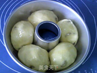 鲜奶葡萄干花环面包的做法步骤:10