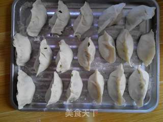 韭菜猪肉饺子的做法步骤:5