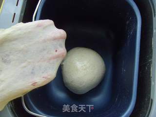 地中海风情:口袋面包---皮塔饼的做法步骤:3