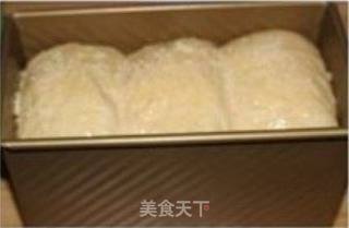 香酥粒吐司的做法步骤：8
