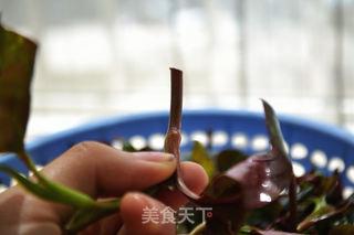 【炝拌鱼腥草】的做法步骤:2