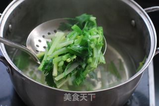 “清爽弹牙，香浓不腻”的夏季必备主食【炸酱凉面】的做法步骤：12