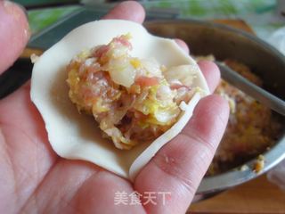 白菜大肉饺子的做法步骤：13