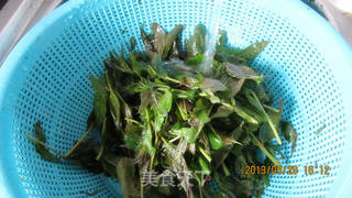 香椿拌豆皮的做法步骤:4