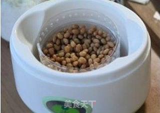 家庭自制纳豆的做法超详细多图全攻略——纳豆的做法步骤:15