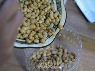 家庭自制纳豆的做法超详细多图全攻略——纳豆的做法步骤:14