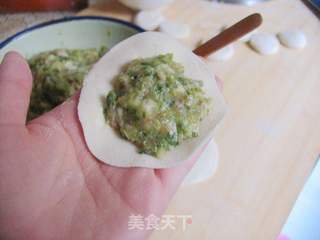 喜欢你没道理——香芹肉包的做法步骤:9
