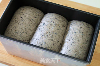 【黑芝麻吐司】做一个好吃又营养的吐司的做法步骤:9