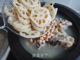 益胃健脾补充钙质的【腔骨莲藕汤】的做法步骤:6