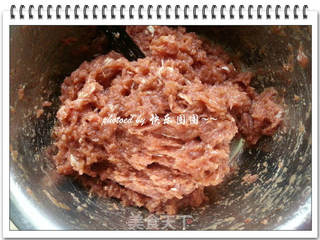 蜜汁猪肉脯的做法步骤:3