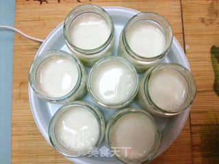 夏季健康减肥排毒--自制脱脂酸奶的做法步骤:7