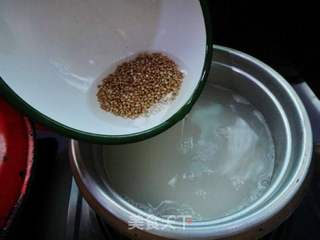 这样吃荔枝不上火——荔枝米荞粥的做法步骤:4