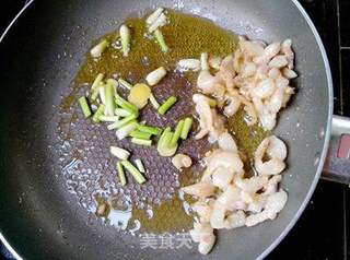 家常菜之——香菜豆仁炒肉丝的做法步骤:7