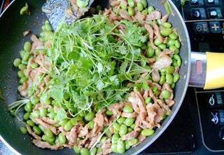 家常菜之——香菜豆仁炒肉丝的做法步骤:12