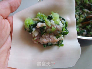 油煎馄饨的做法步骤:5