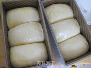 麦片土司的做法步骤:11
