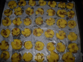 葡萄奶酥饼干的做法步骤:7