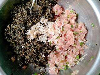 营养又美味——马齿苋菜干鲜肉水饺的做法步骤:14