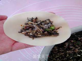 营养又美味——马齿苋菜干鲜肉水饺的做法步骤:15