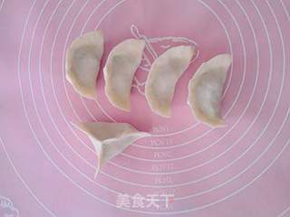 营养又美味——马齿苋菜干鲜肉水饺的做法步骤:16