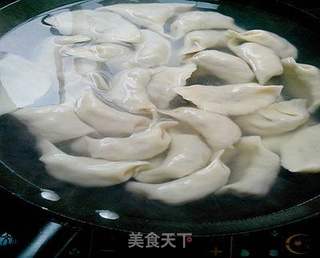营养又美味——马齿苋菜干鲜肉水饺的做法步骤:17