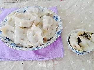 营养又美味——马齿苋菜干鲜肉水饺的做法步骤:18