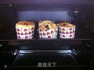 人生第一块蛋糕---- 纸杯蔓越莓蛋糕的做法步骤:15