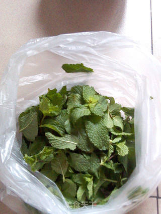 轻轻松松过夏天，薄荷之夏----------------柠檬薄荷凉茶的做法步骤：1