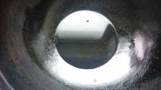 剩馒头的新生--风味炒馒头的做法步骤:5