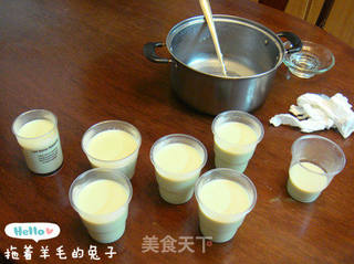 【羊毛兔出品。】淡抹茶奶冻的做法步骤:9