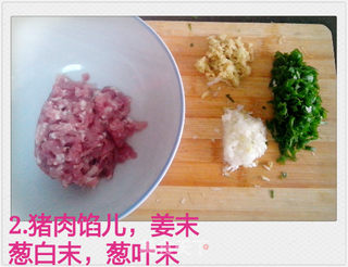 冬瓜猪肉饺子的做法步骤:2