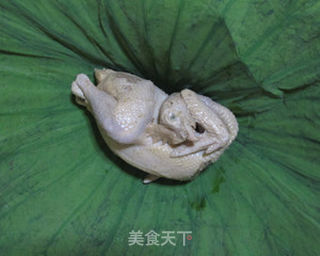 叫花鸡——现代家庭版的做法步骤:15