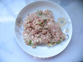 轻松自制有爱的营养早餐——鲜肉锅贴的做法步骤:3