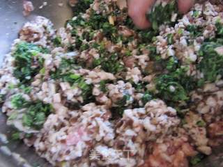小白菜香菇虾饺的做法步骤：14