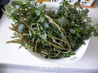 蒜泥麻汁马齿苋的做法步骤:2