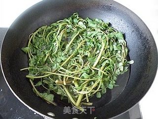 蒜泥麻汁马齿苋的做法步骤:4
