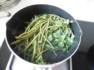 初秋养生粥-----马齿苋薏米粥的做法步骤:3