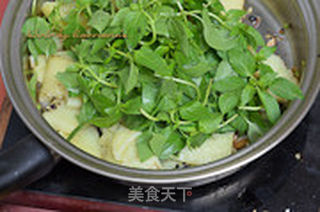 荆芥煎凉粉的做法步骤:10