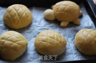 菠萝包的做法步骤:15