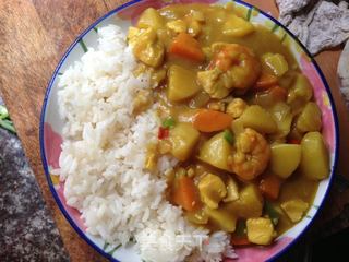 东南亚经典，懒人必备——咖喱鸡肉浇饭的做法步骤：7