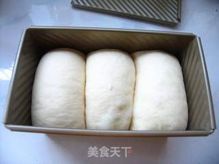 自制百搭好吐司——纯奶白吐司的做法步骤:10
