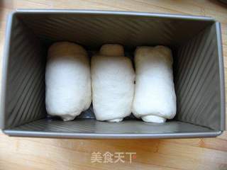 自制百搭好吐司——纯奶白吐司的做法步骤：9