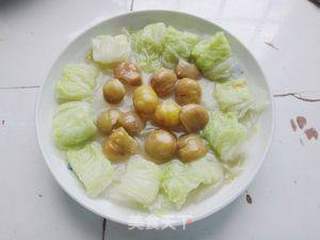 栗子烧白菜的做法步骤:10
